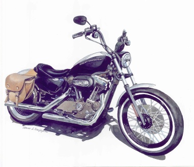 2009 Harley-Davidson 1200 "Nightster"